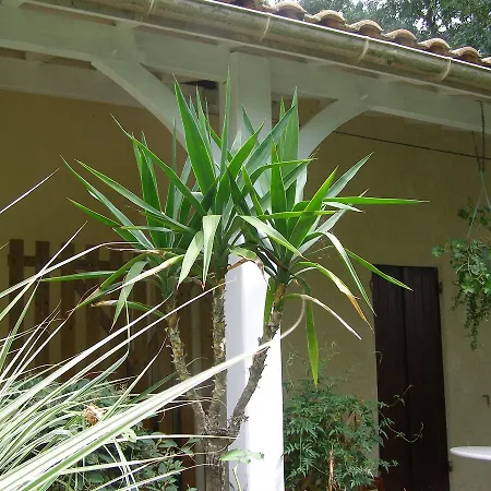 Le Bord De L'eau ベッド・アンド・ブレックファスト 3*